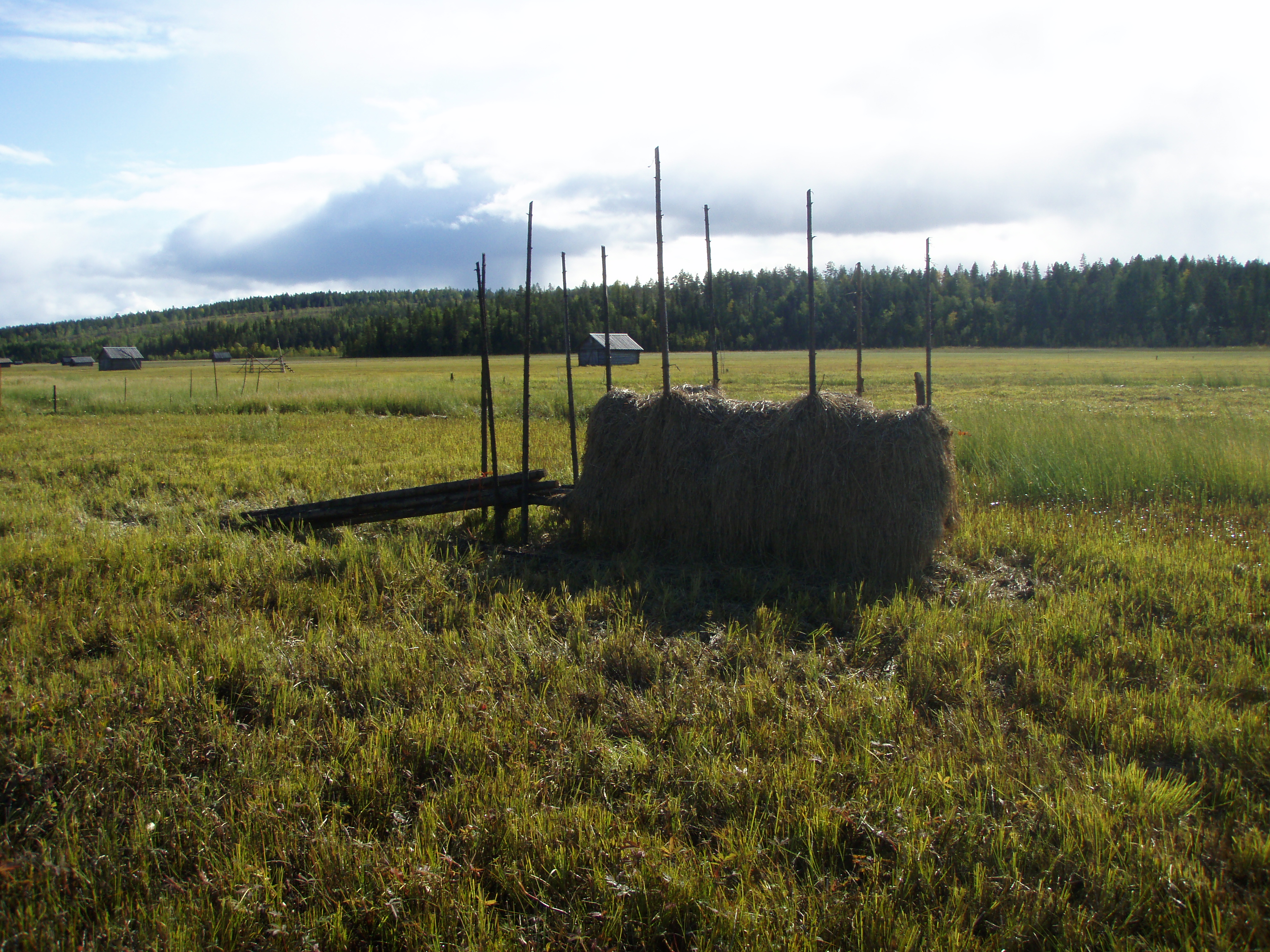 Hay drying rack